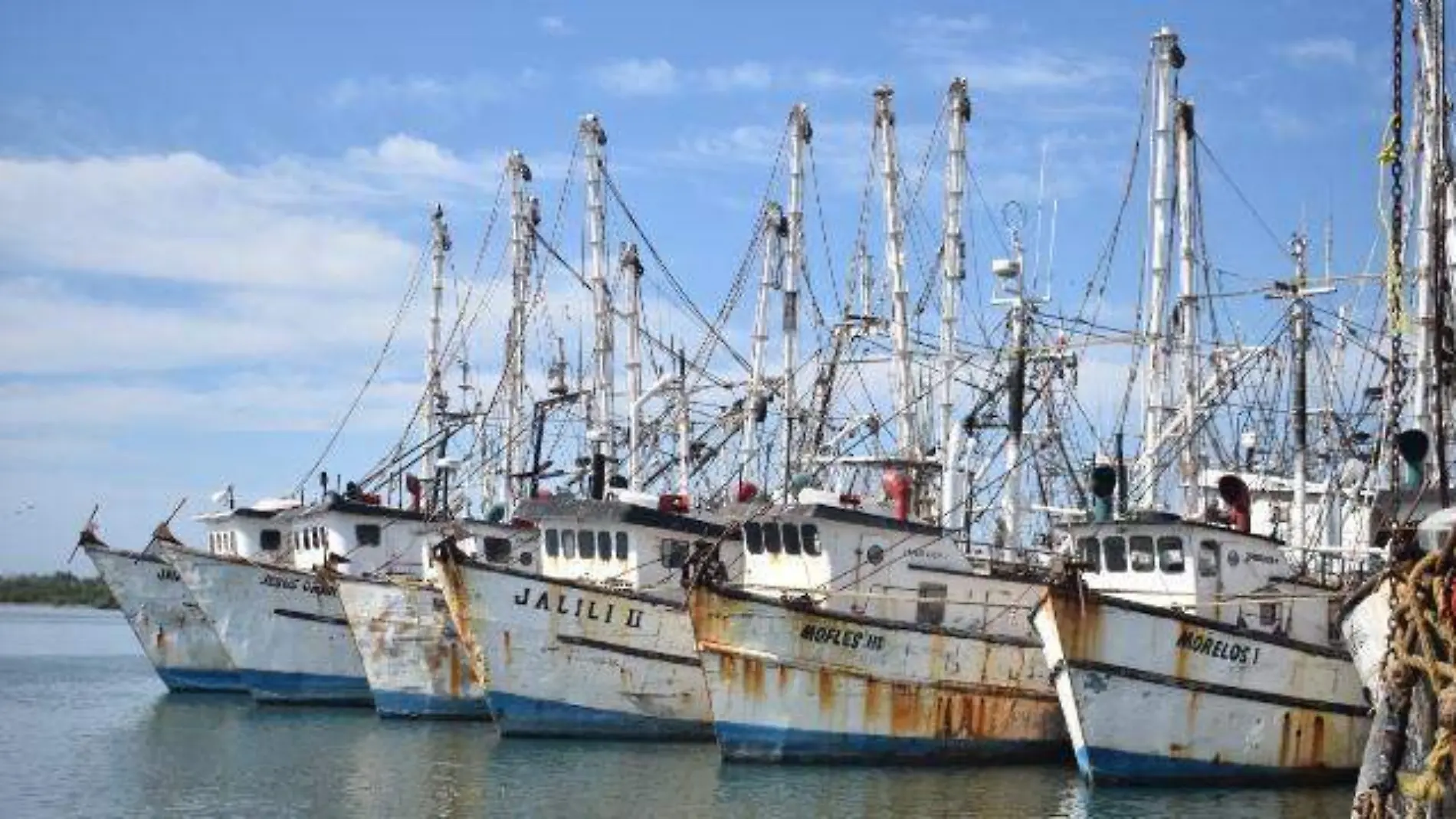 BARCOS PESQUEROS